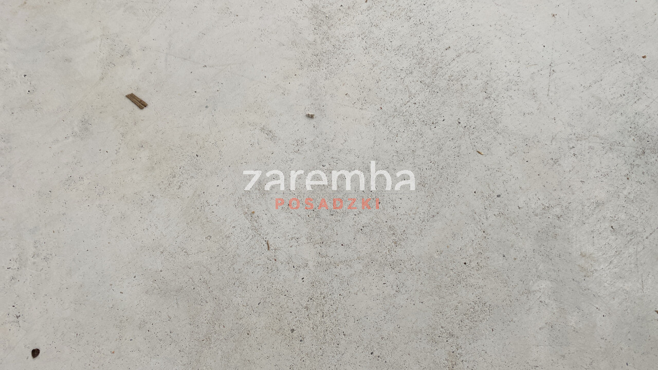 ocena stanu technicznego posadzki