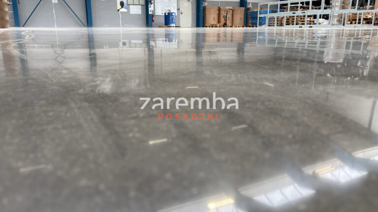 Renowacja posadzek z Silicol Renova krok po kroku