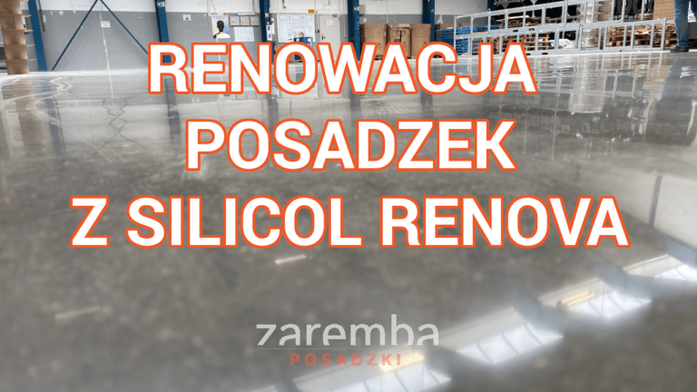 Renowacja posadzek z Silicol Renova krok po kroku